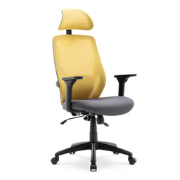 Recline Ergonomic Office Chair with Back Support and Headrest, Tilt Function Position Lock, Home Office Computer Desk Chair with Lumbar Support, Breathable Mesh Executive Office Chair