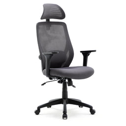 Recline Ergonomic Office Chair with Back Support and Headrest, Tilt Function Position Lock, Home Office Computer Desk Chair with Lumbar Support, Breathable Mesh Executive Office Chair