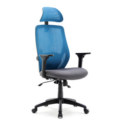 Recline Ergonomic Office Chair with Back Support and Headrest, Tilt Function Position Lock, Home Office Computer Desk Chair with Lumbar Support, Breathable Mesh Executive Office Chair